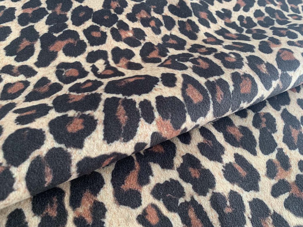Africa Jaguar