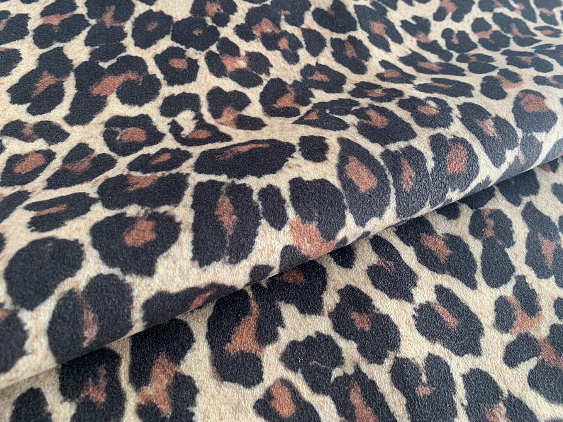 Africa Jaguar