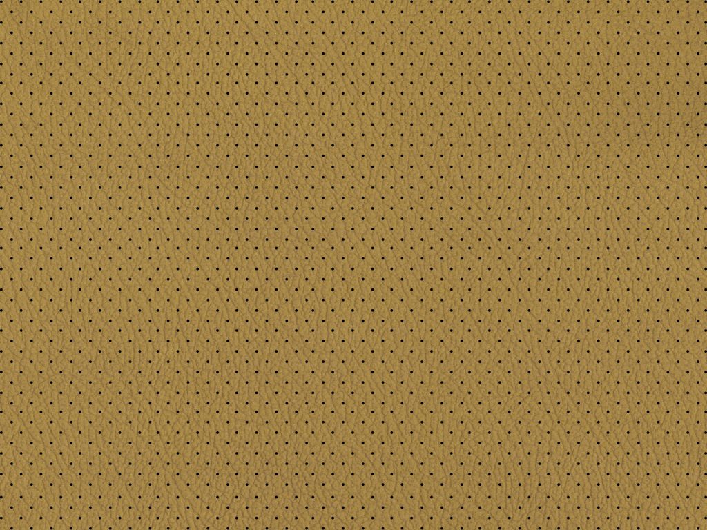 Imola Perforated