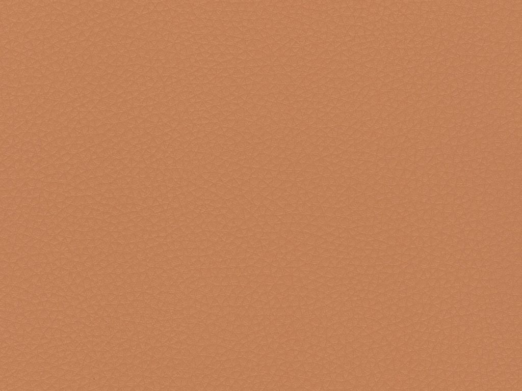 Nevada