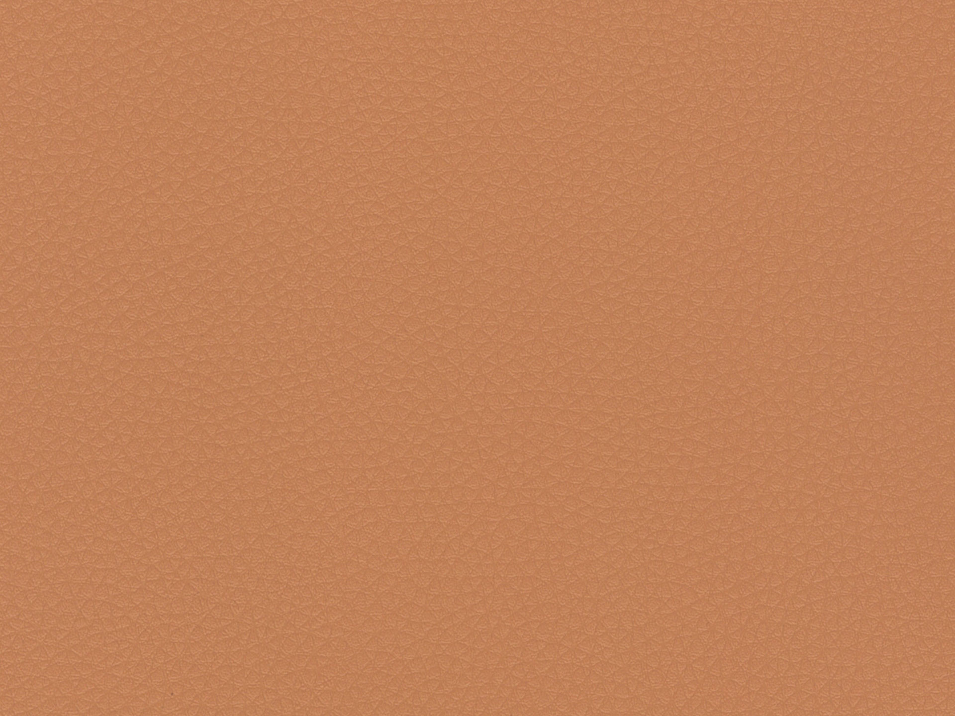 Nevada