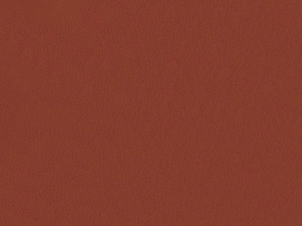 Toro