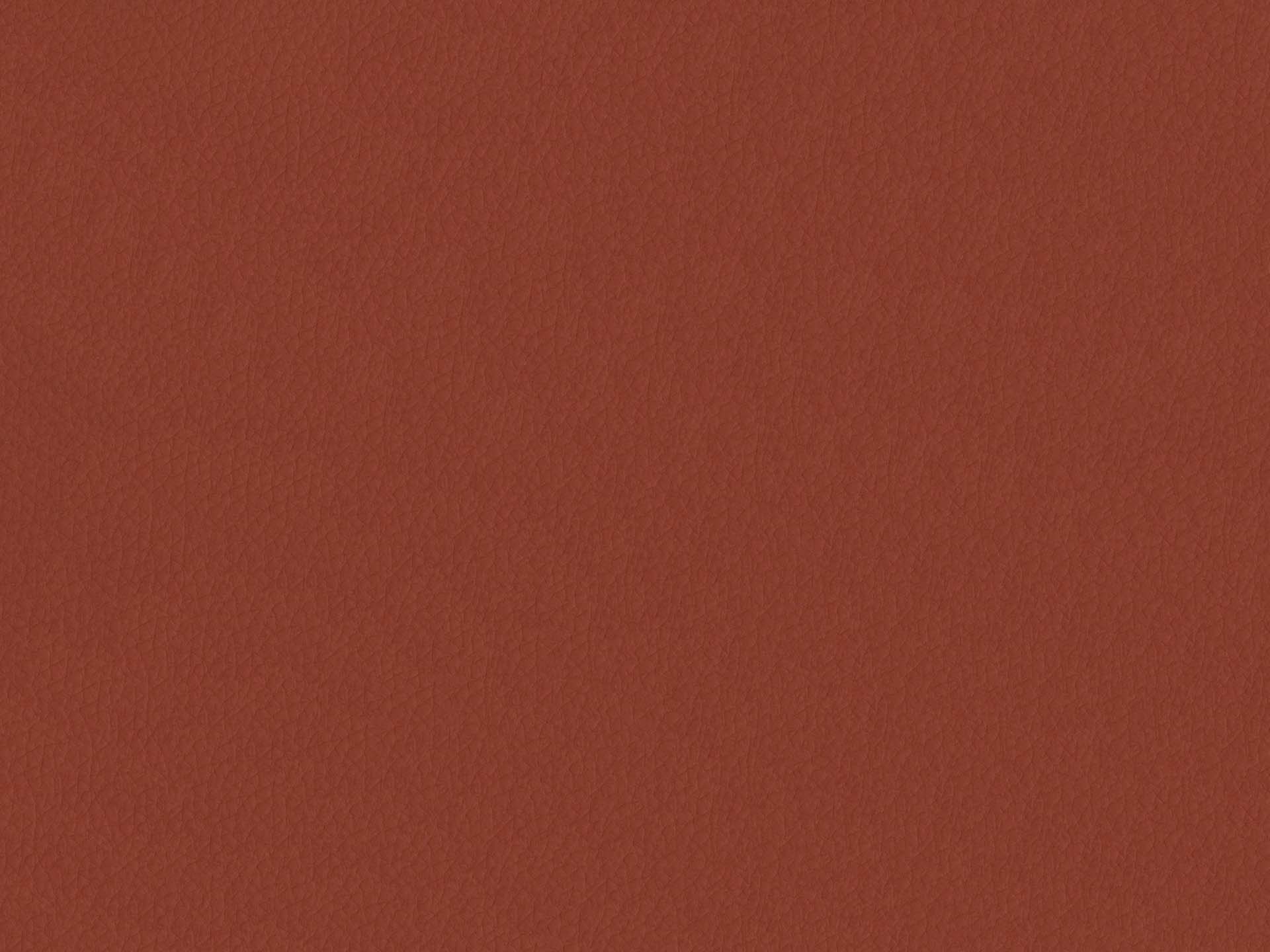 Toro